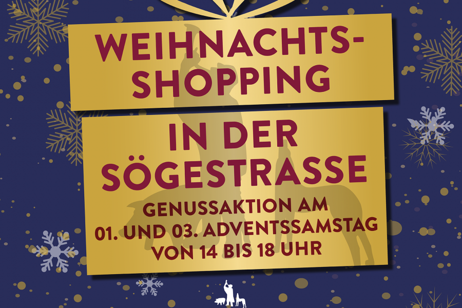 CI Soegestr Weihnachten 2023